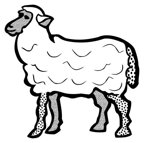 sheep line drawing